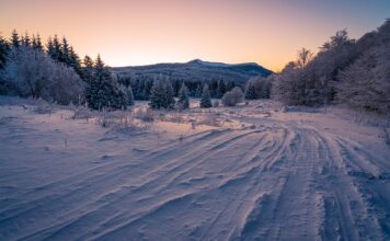Jak zabezpieczyć opony przed pękaniem? Jak zabezpieczyć opony przed pękaniem?