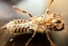 Czy stukanie w kole jest niebezpieczne? Czy stukanie w kole jest niebezpieczne?