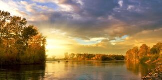 Jak narysować koło zębate w autocad?