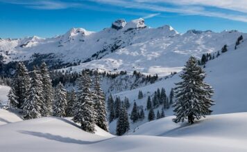 Co jest lepsze pierze czy puch? Co jest lepsze pierze czy puch?