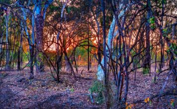 Co to jest swap w BMW? Co to jest swap w BMW?