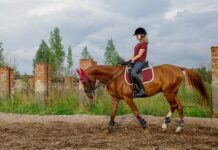 Jak długo korzystać z kojca dla dziecka?