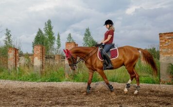 Jak długo korzystać z kojca dla dziecka?