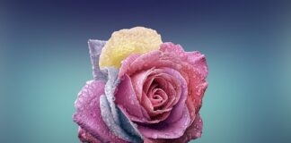 Czym się rożni M2 od M2 Competition?