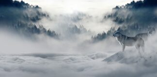 Jaka kłódka na zimę?