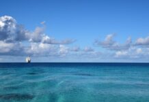 Jaka markiza do T5? Jaka markiza do T5?