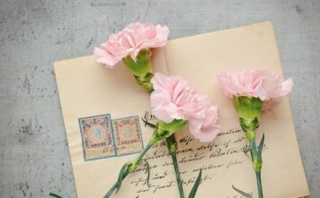 Jakie auto ma znaczek V?