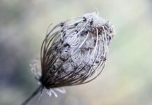 Co daje owalny blat? Co daje owalny blat?