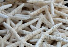 Czy warto montować kolektory słoneczne? Czy warto montować kolektory słoneczne?