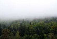 Jak zasłonić kolektory słoneczne? Jak zasłonić kolektory słoneczne?