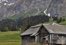 Czy można wyłączyć solary na zimę? Czy można wyłączyć solary na zimę?