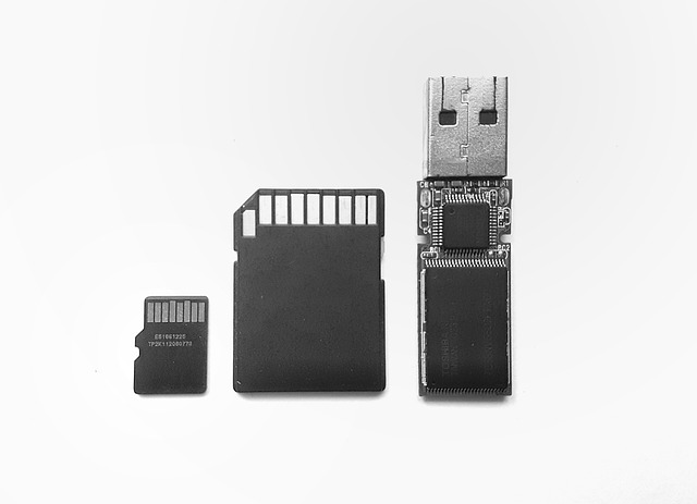 Jakie są wyrazy niewymienne? Jakie są wyrazy niewymienne?