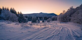 Czym umyć opony w aucie?